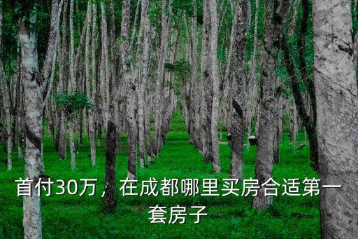 首付30萬，在成都哪里買房合適第一套房子