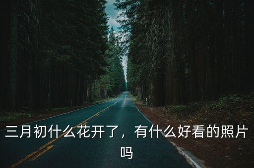 三月初什么花開了，有什么好看的照片嗎