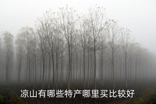 涼山有哪些特產(chǎn)哪里買比較好