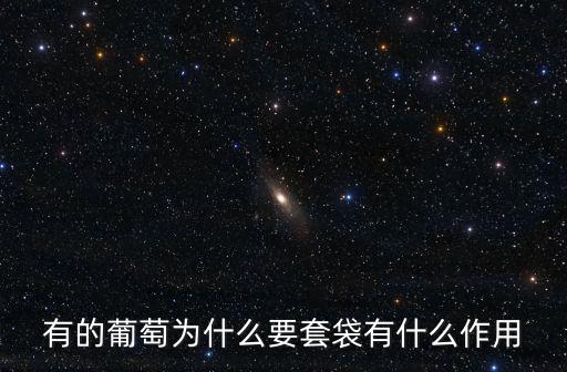 成都葡萄套袋哪里有,套袋葡萄有介殼蟲怎么辦