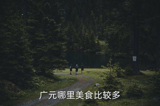 廣元哪里的中餐可以,廣元哪里美食比較多