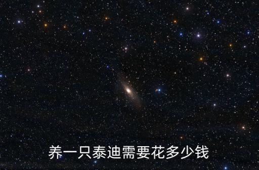 養一只泰迪需要花多少錢