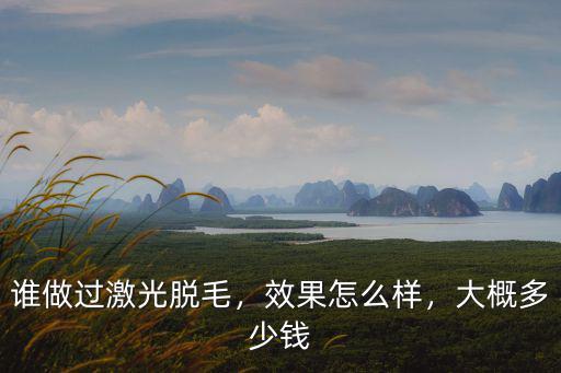 誰做過激光脫毛，效果怎么樣，大概多少錢
