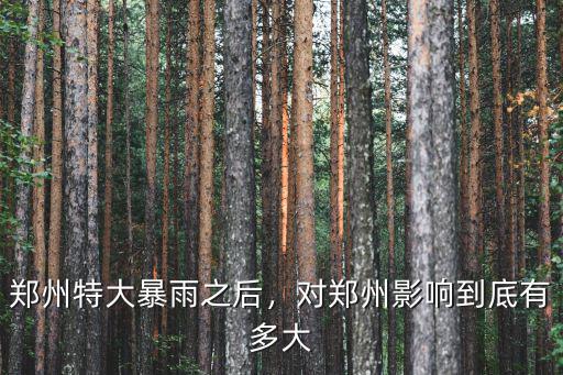 鄭州洪荒之力酒怎么樣,盡了洪荒之力