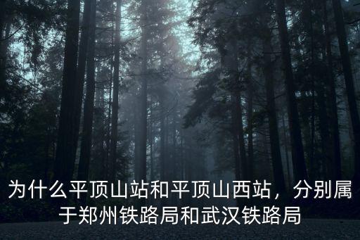 為什么平頂山站和平頂山西站，分別屬于鄭州鐵路局和武漢鐵路局