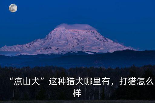 “涼山犬”這種獵犬哪里有，打獵怎么樣