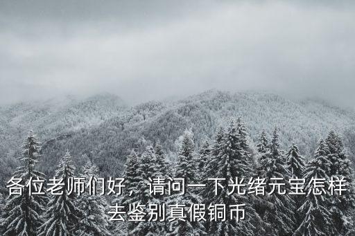 各位老師們好，請問一下光緒元寶怎樣去鑒別真假銅幣