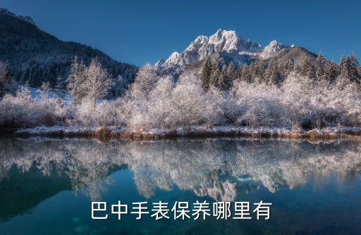 巴中手表保養哪里有