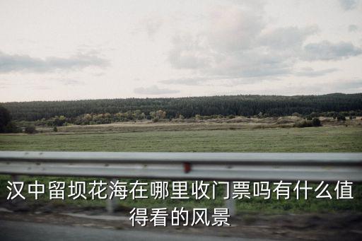 成都留壩老街在哪里,漢中留壩花海在哪里