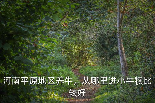 河南地區(qū)有多少個(gè)養(yǎng)牛廠長(zhǎng),河南平原地區(qū)養(yǎng)牛