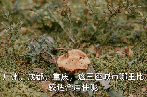 重慶和成都哪里最熱,重慶和成都哪個(gè)更好