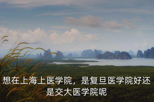 想在上海上醫(yī)學院，是復旦醫(yī)學院好還是交大醫(yī)學院呢