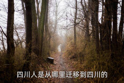彭燕四川哪里人,諸葛亮到底是哪里人呢