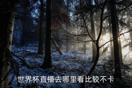 成都去哪里看世界杯,世界杯直播去哪里看比較不卡