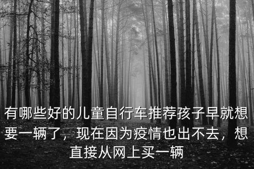 濮陽哪里有兒童自行車,有哪些好的兒童自行車推薦