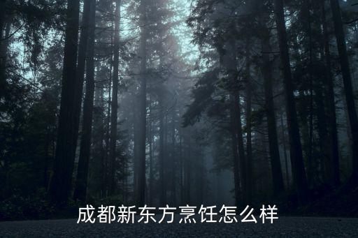 成都新東方網校在哪里,成都新東方怎么樣啊