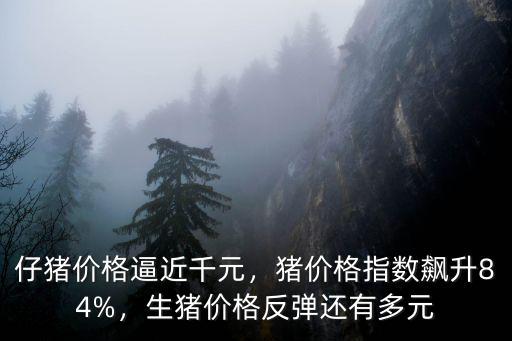 仔豬價格逼近千元，豬價格指數飆升84%，生豬價格反彈還有多元