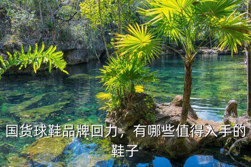 成都回力牌球鞋哪里有,國貨球鞋品牌回力