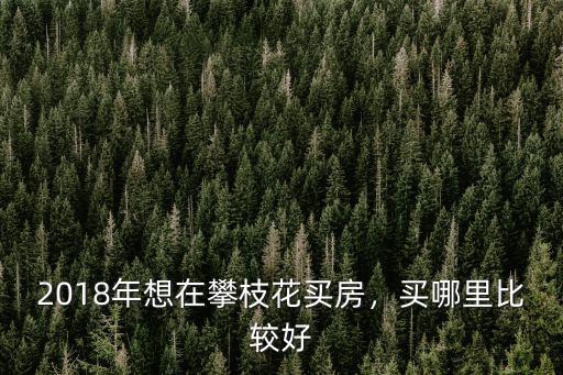 攀枝花竹湖園小姐在哪里,2018年想在攀枝花買房