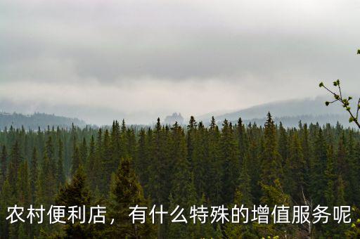 農(nóng)村便利店，有什么特殊的增值服務(wù)呢