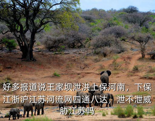 河南水災是哪里泄洪,河南地區洪災最嚴重地區是哪