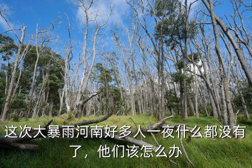 河南大暴雨后農民損失怎么辦,今年的河南農民該怎么辦