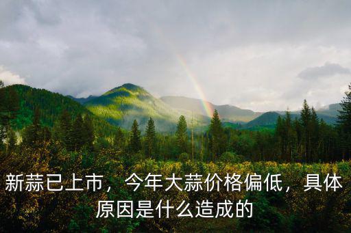 開封市中牟大蒜價格是多少,價格大概是多少