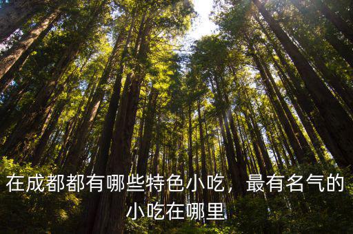 成都名小吃在哪里,最有名氣的小吃在哪里