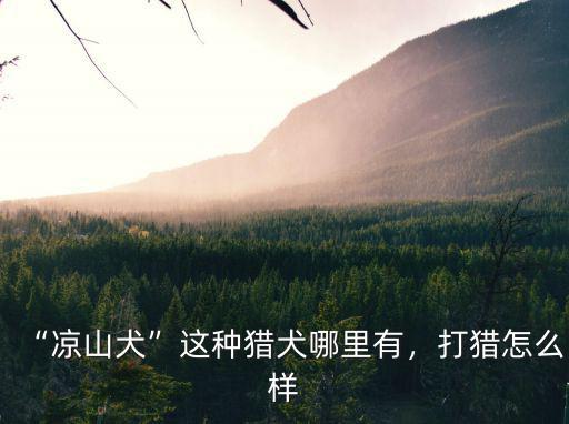 “涼山犬”這種獵犬哪里有，打獵怎么樣