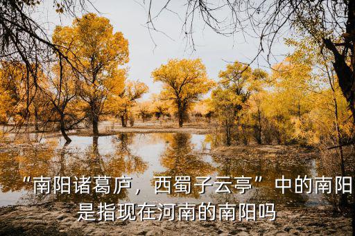“南陽諸葛廬，西蜀子云亭”中的南陽是指現在河南的南陽嗎