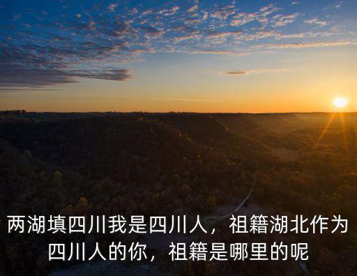 老鄉是四川哪里的,祖籍是哪里的呢