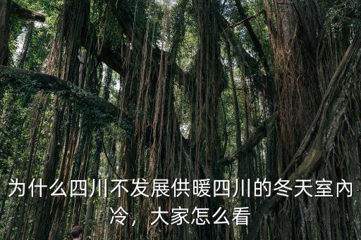 為什么四川不發(fā)展供暖四川的冬天室內(nèi)冷，大家怎么看