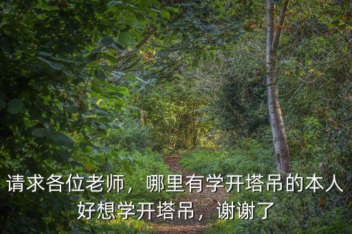 瀘州哪里能學塔吊,哪里有學開塔吊的