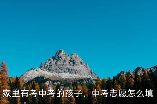 家里有考中考的孩子，中考志愿怎么填