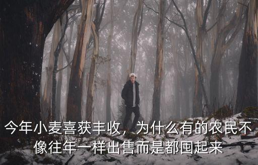 今年小麥喜獲豐收，為什么有的農民不像往年一樣出售而是都囤起來