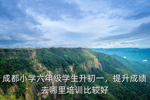 成都小學奧數哪里好,成都小學六年級學生升初一