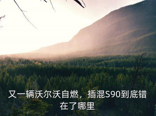 成都哪里爆炸了嗎,插混S90到底錯(cuò)在了哪里