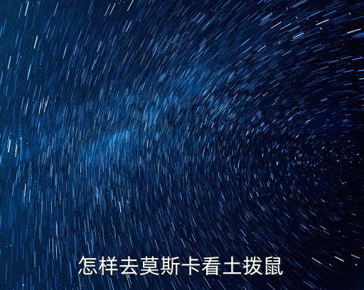 四川看土撥鼠在哪里,土拔鼠在哪里可以見到