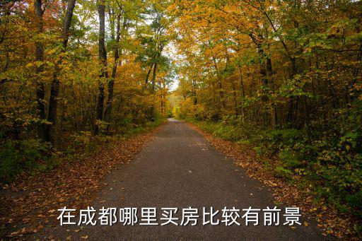 成都人在周邊哪里買房好,在成都哪里買房比較有前景