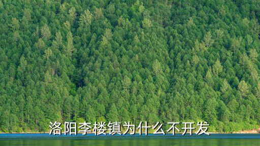 洛陽李樓鎮(zhèn)為什么不開發(fā)
