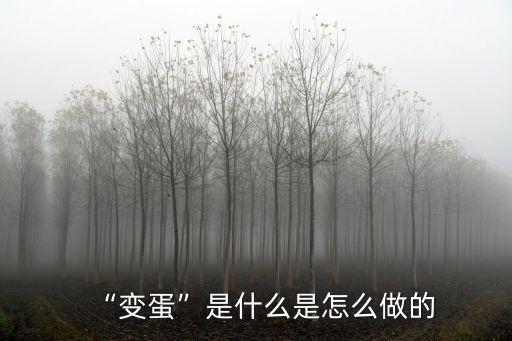 河南特產溏心變蛋是怎么做的,變蛋是怎么制作的