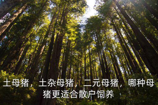 到哪里去賣眉山母豬,最終這些肉會賣到哪里