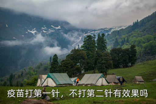 疫苗打第一針，不打第二針有效果嗎