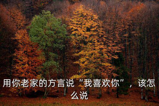 還會喜歡我嗎用河南話怎么說,用你老家的方言說我喜歡你