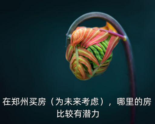 在鄭州買房（為未來考慮），哪里的房比較有潛力