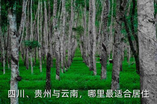 四川、貴州與云南，哪里最適合居住