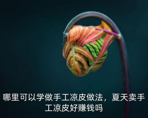 眉山哪里可以學做涼皮,哪里可以學做手工涼皮做法