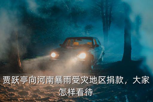 騰訊怎么給河南捐款,司馬南給河南捐款了么
