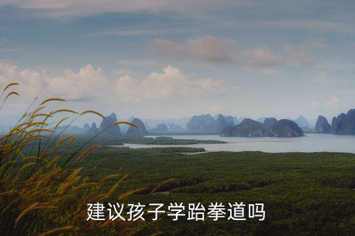 攀枝花哪里學跆拳道最好,建議孩子學跆拳道嗎