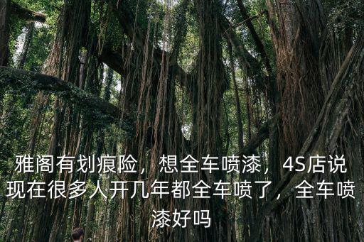 雅閣有劃痕險，想全車噴漆，4S店說現(xiàn)在很多人開幾年都全車噴了，全車噴漆好嗎